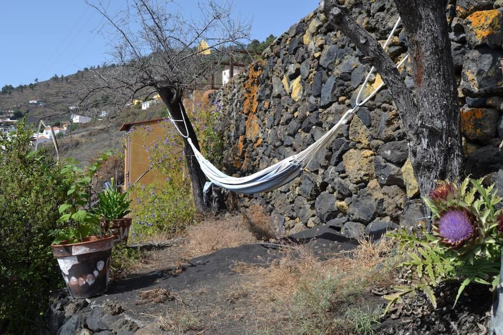 El Quinto Pino 3 Habitaciones Privadas Con Cocina Y Bano Compartidos Las Indias المظهر الخارجي الصورة